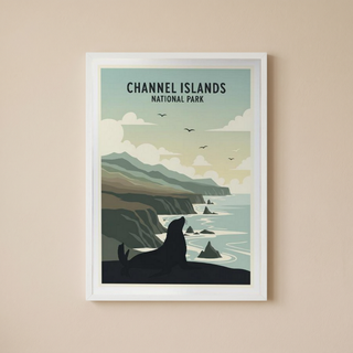 Channel Islands National Park Poster — Vintage California Sea Lion Coast Print