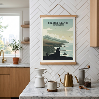 Channel Islands National Park Poster — Vintage California Sea Lion Coast Print