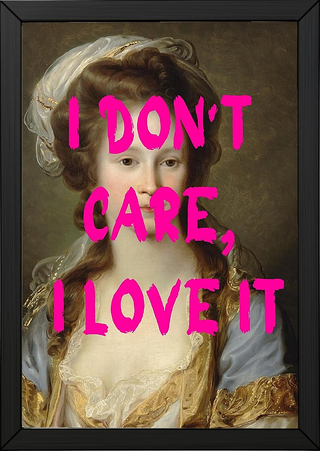 I Don't Care Wall Art Print — Cool Sarcastic Quote Poster